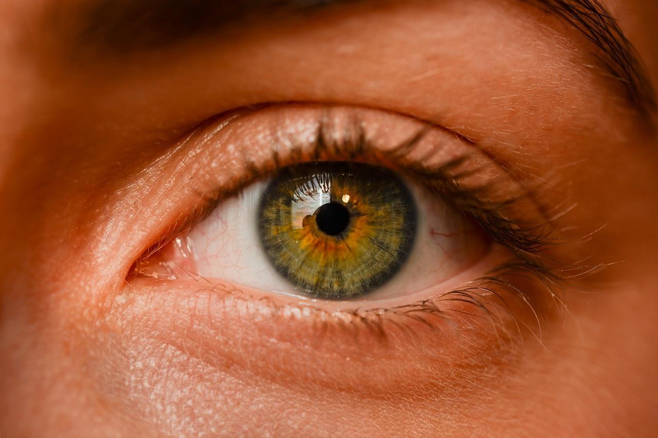 La ONCE y el Instituto de Investigación Sanitaria de la Fundación Jiménez Díaz trabajan para determinar las causas hereditarias de la retinosis pigmentaria y la amaurosis congénita de Leber. (Fuente imagen: Pixabay) 