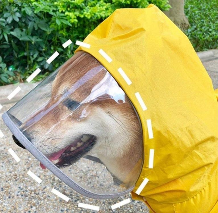 para perros: protege a tu mascota de la lluvia